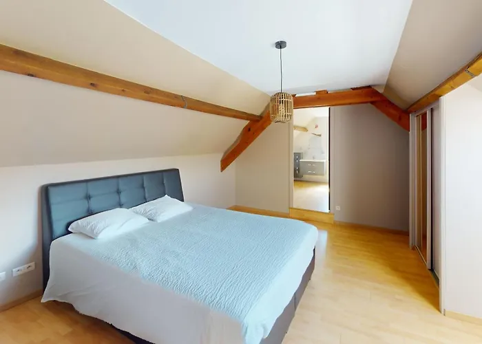 De L'obourg-joie - Shape - Pairi Daiza - - Parking Prive Et Gratuit Mons